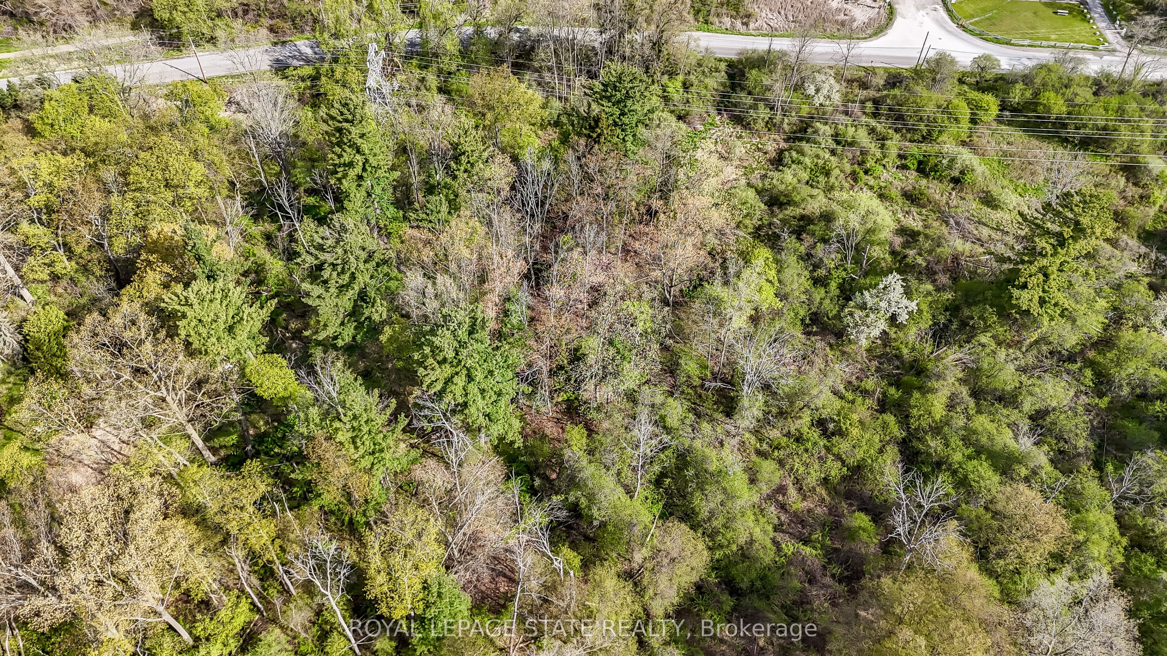 0 Mineral Springs Road, Hamilton, ON, L9G 4X1 photo 5