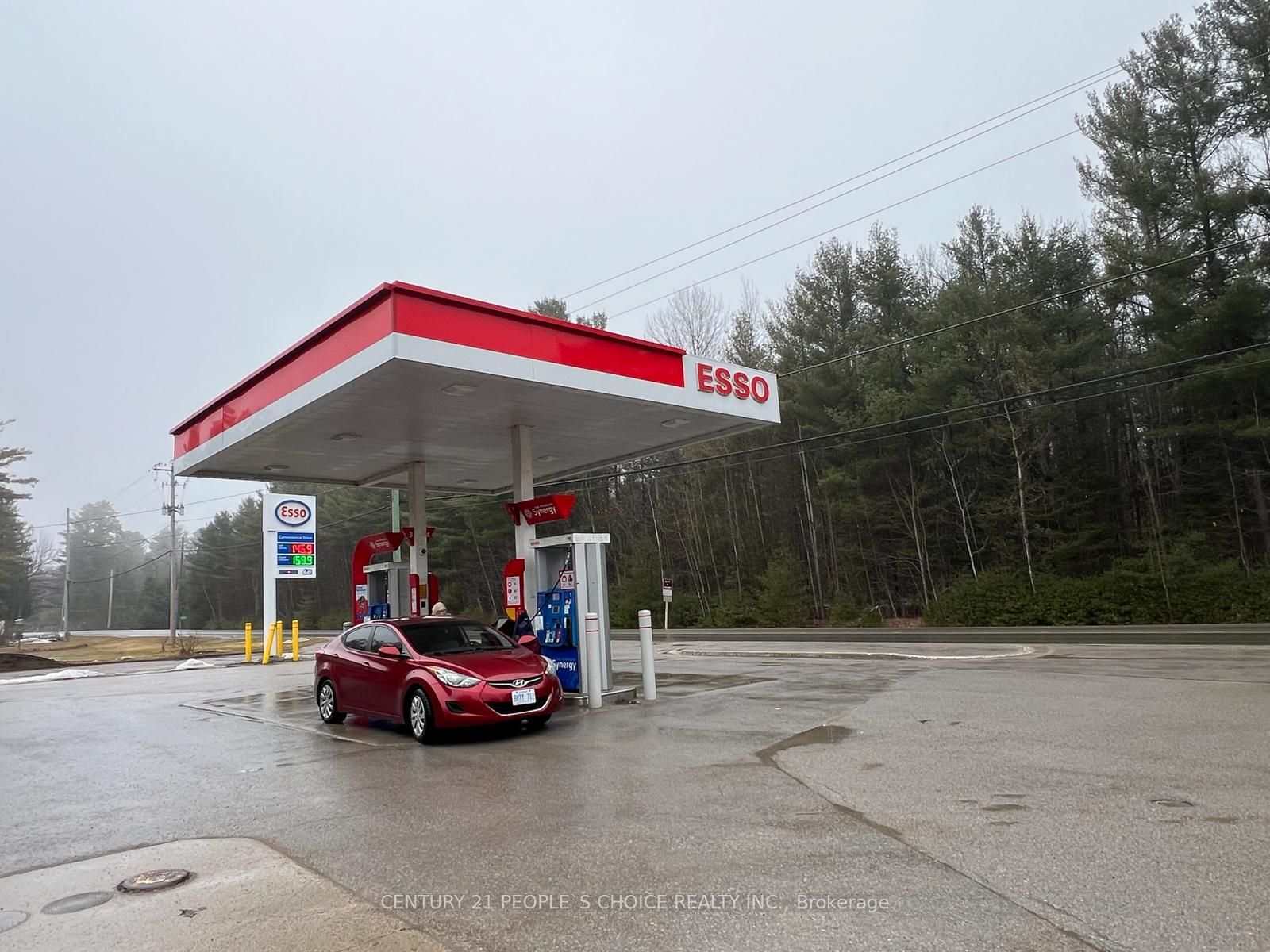 7561 Hwy 35 N/a, Kawartha Lakes, ON, K0M 2L0