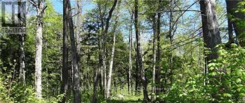 130 Nippissing Ridge Road, Tiny, ON, L9M0H6 photo 2