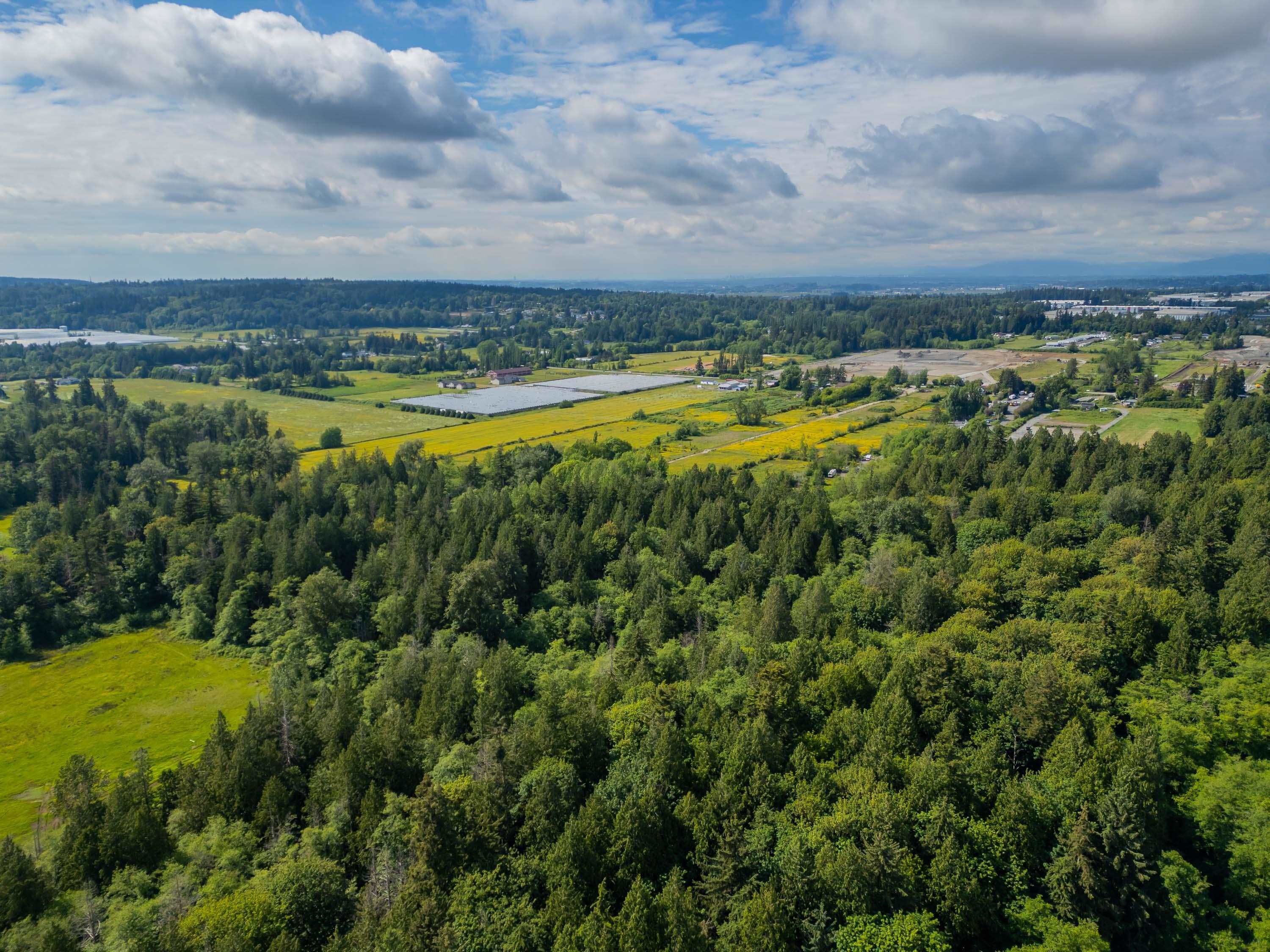 Additional image 6 of 18952 16th Avenue, Surrey, BC, V3S 9V2