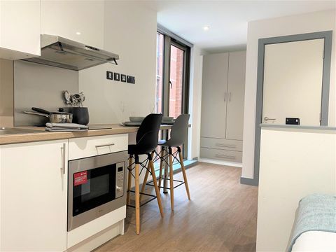 Nelson Street, Belfast BT15, Studio to rent