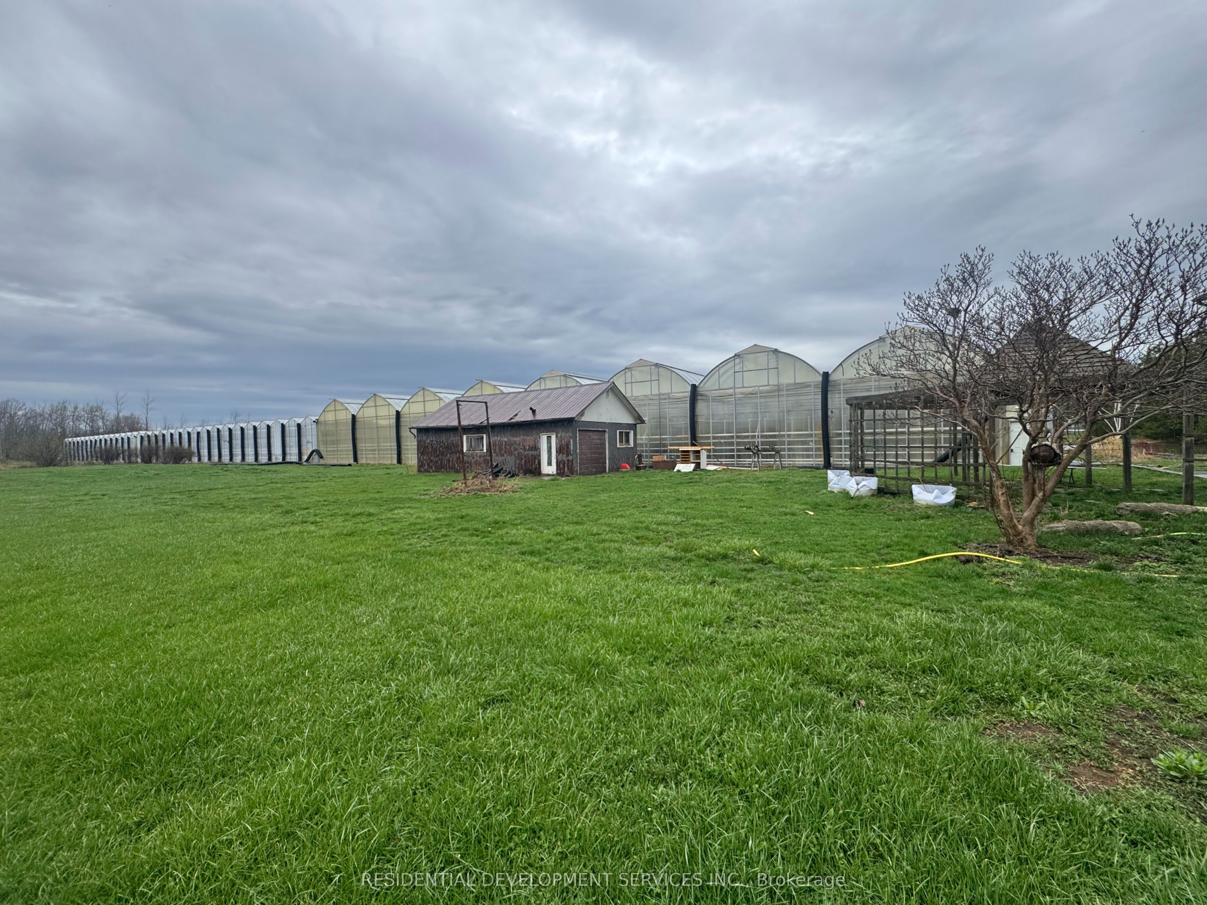 342 Mountain Road, Grimsby, ON, L3M 4E7 photo 4