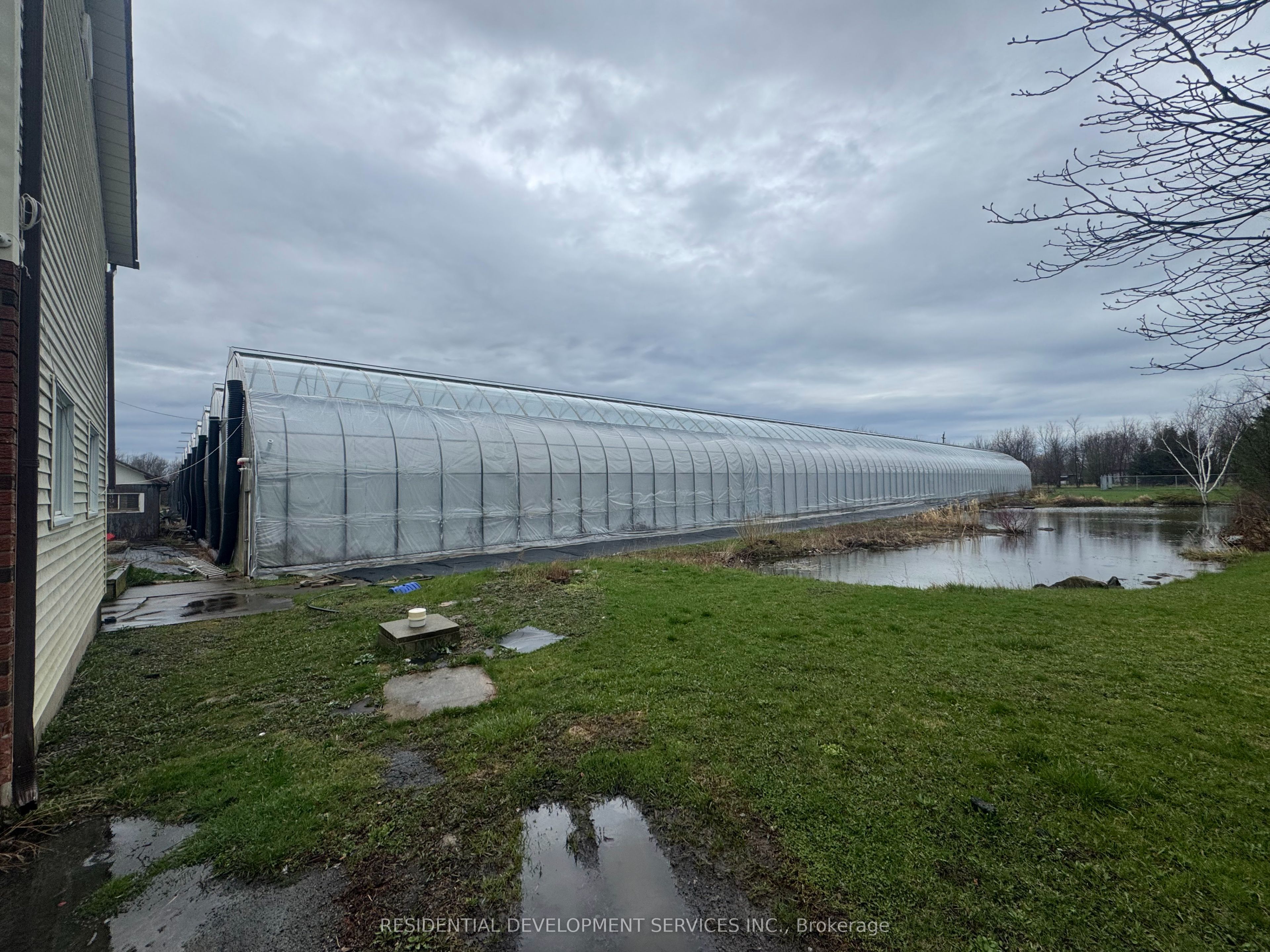 342 Mountain Road, Grimsby, ON, L3M 4E7 photo 3