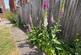Additional image 21 of Nursery Road, Tunbridge Wells TN4