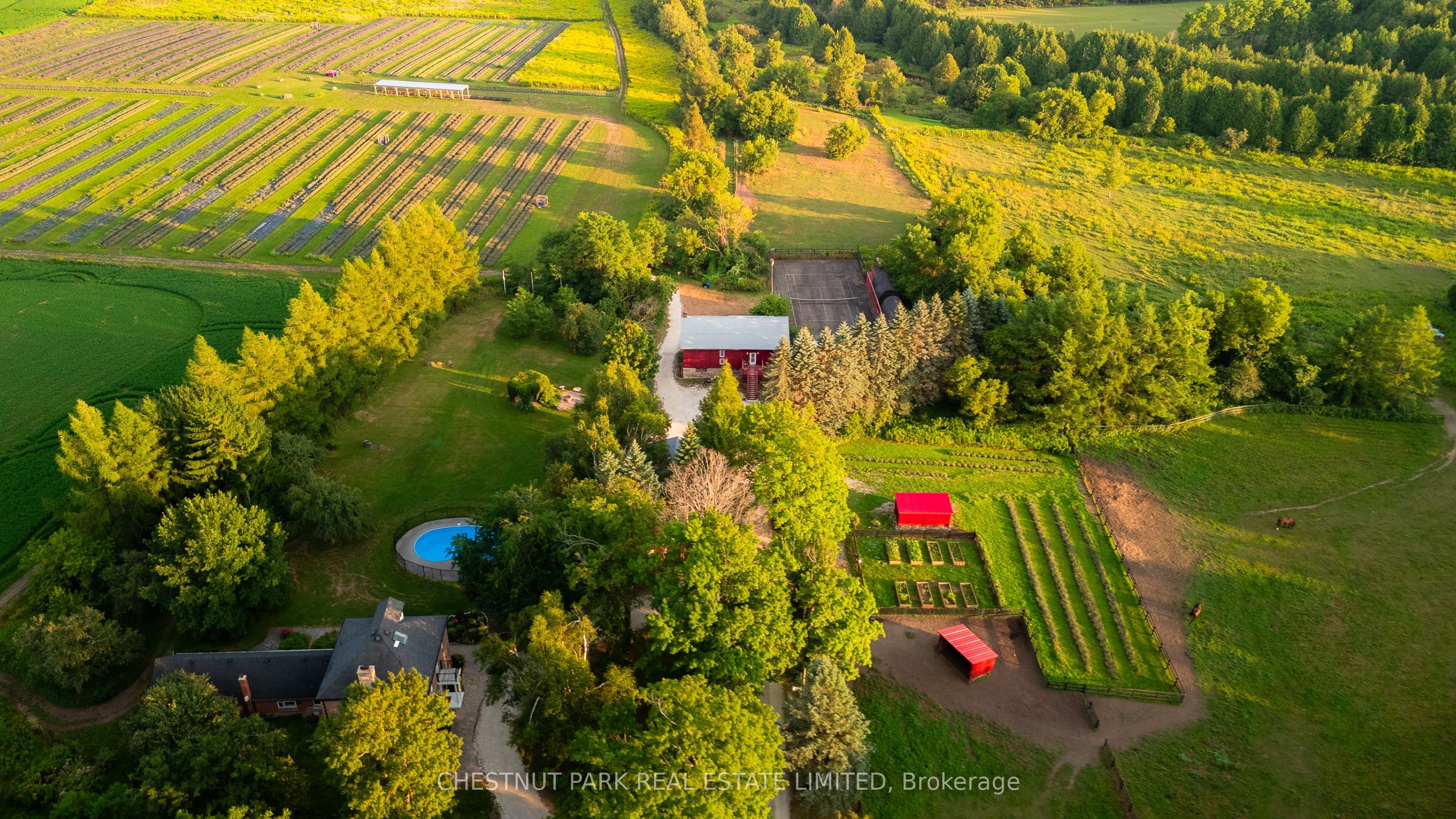 Additional image 3 of 347036 Mono Centre Road, Mono, ON, L9W 6S2