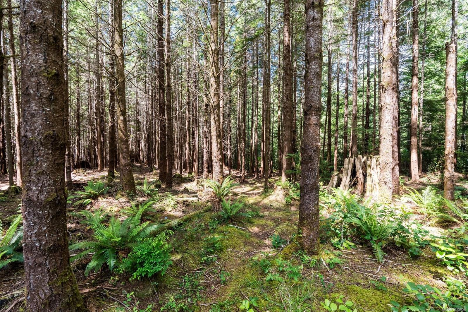 3890 Trailhead Drive, Sooke, BC, V9Z 1L1 photo 5