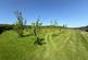 Additional image 55 of Llanfihangel Ar Arth, Nr Llandysul , Carmarthenshire, SA39
