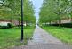 Thacker Drive, LICHFIELD, Staffordshire, WS13 photo 3