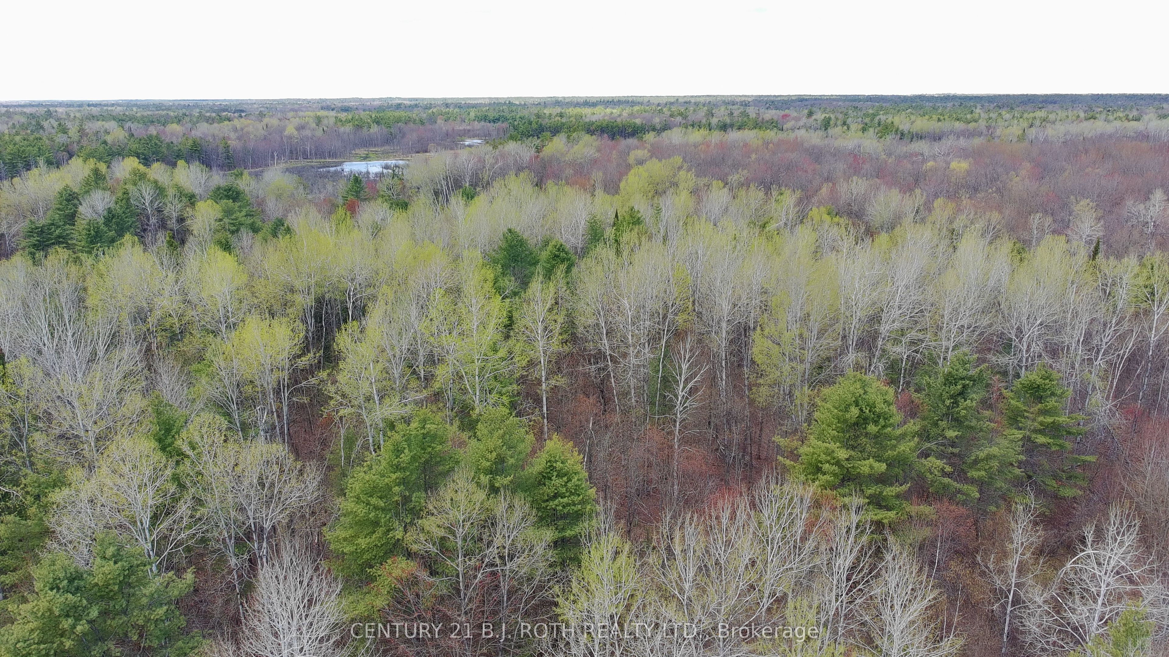2444 Fairgrounds Road, Ramara, ON, L0K 2B0 photo 4