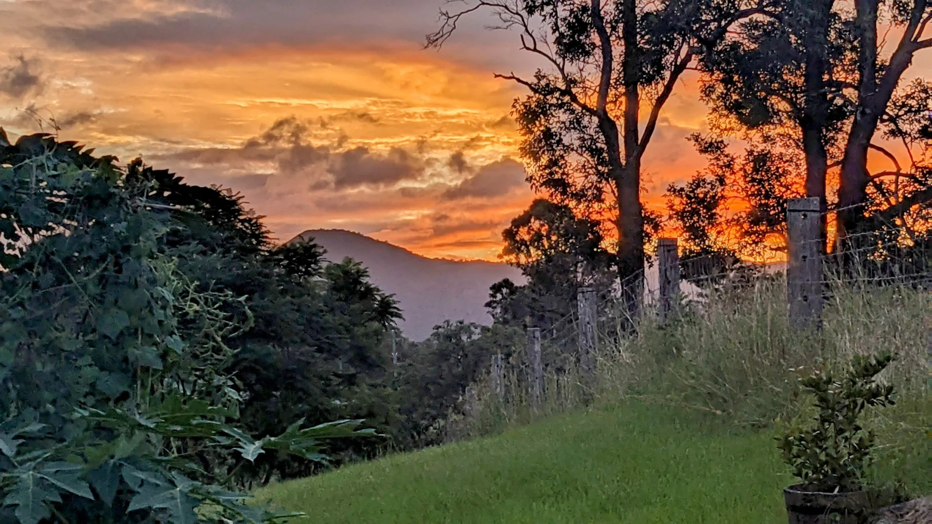 Kenilworth QLD 4574 photo 4