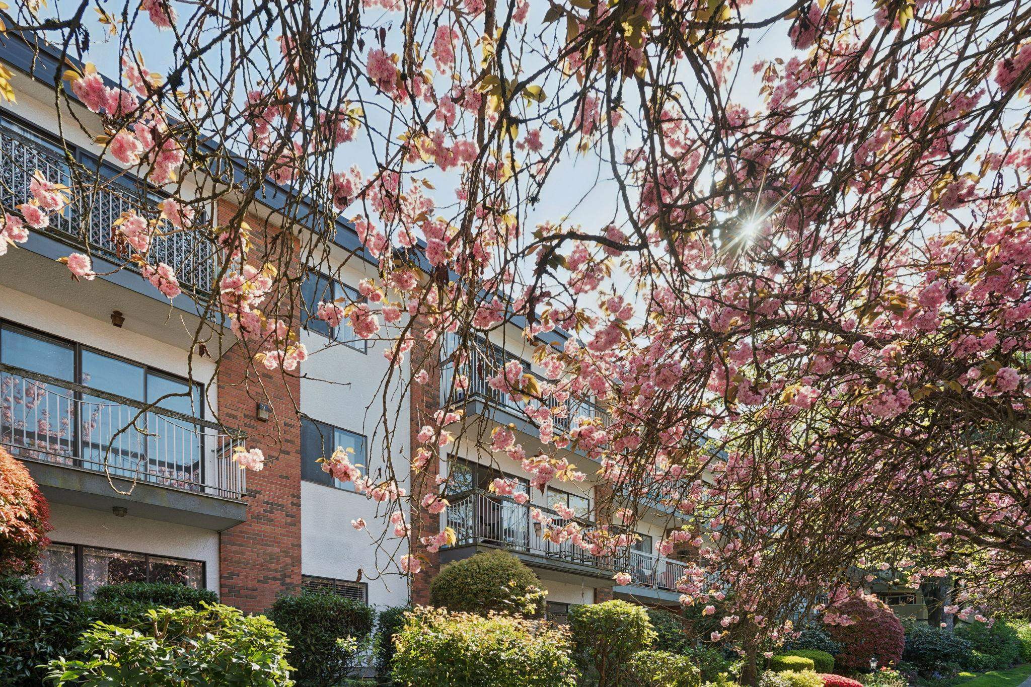 Additional image 2 of 213-1950 8th Avenue W, Vancouver, BC, V6J 1W3