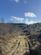 Callington, Cornwall PL14 Bicton Wood West, 94.67 acres (38.31 Ha) photo 3