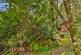 Additional image 44 of Oakbank, Tarbert Road, Ardrishaig, Argyll