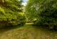 Additional image 22 of Colinton, Edinburgh EH13