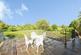 Additional image 5 of Mill Lane, Newbold On Stour, STRATFORD-UPON-AVON
