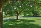 Deepdene Avenue, Dorking, Surrey, RH5 photo 4