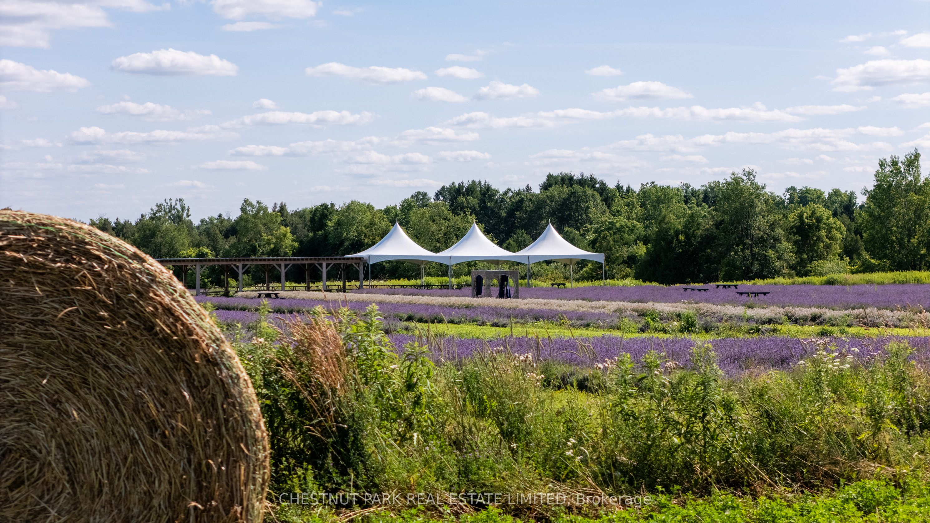 Additional image 4 of 347036 Mono Centre Road, Mono, ON, L9W 6S2