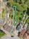 Additional image 19 of Ormond Road, Wantage OX12