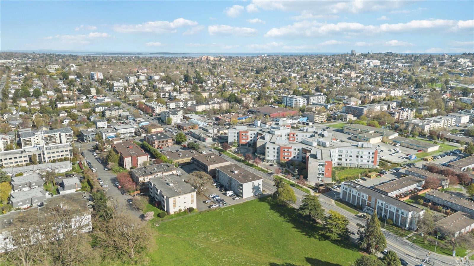 #302-904 Hillside Avenue, Victoria, BC, V8T 1Z8 photo 4