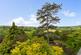 Englishcombe, Bath, Somerset, BA2 photo 4