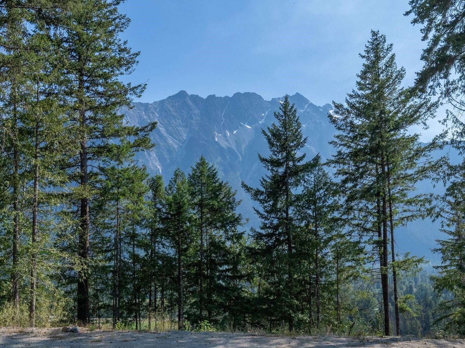 8206 Merlot Peak Drive, Pemberton, BC, V0N 2L3