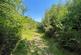 Additional image 2 of Coed Abergwynant Woodland, Penmaenpool, Dolgellau