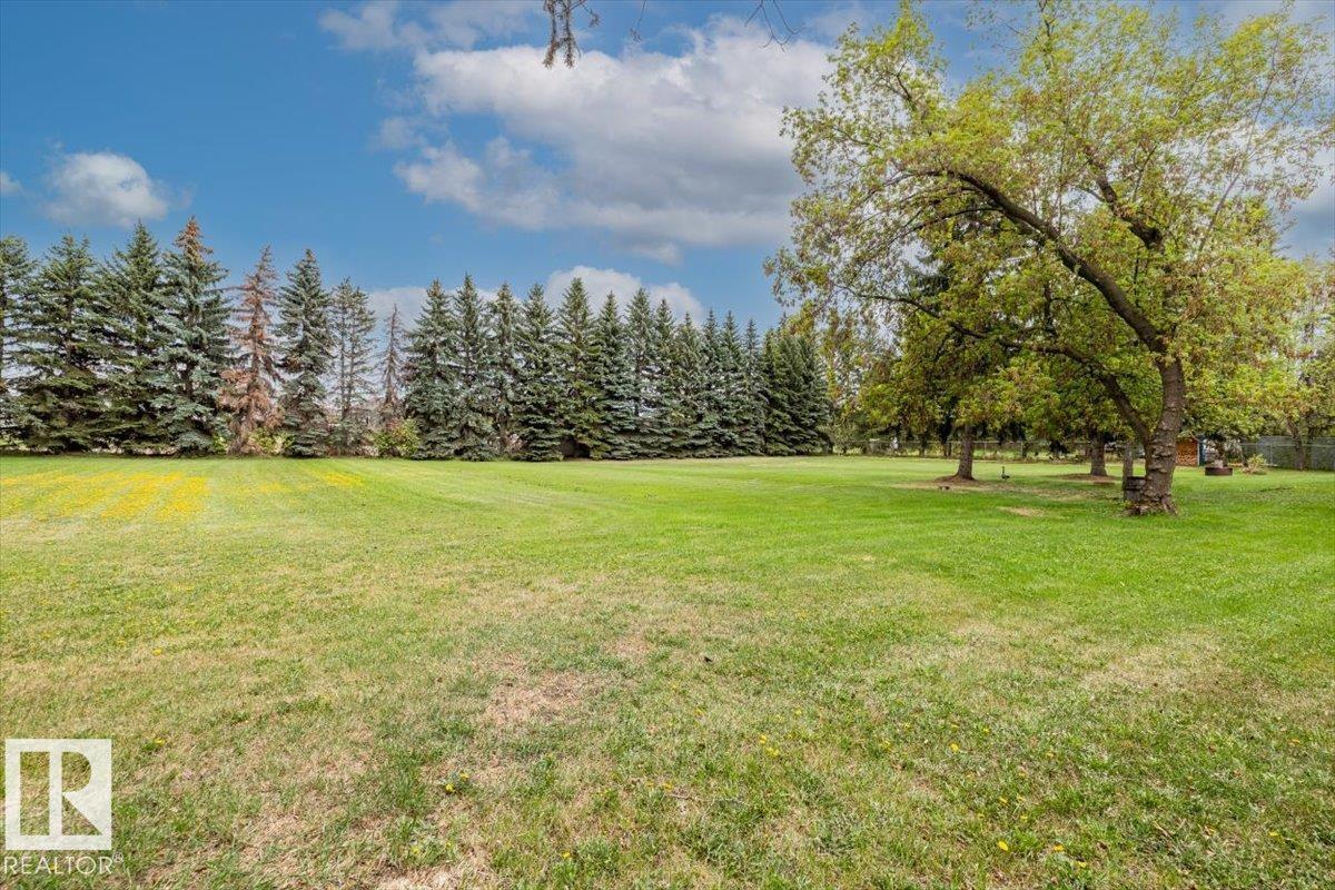 4411 209 Street NW, Edmonton, AB, T6M2P3 photo 4