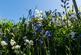 Additional image 36 of Moylegrove, Cardigan, SA43