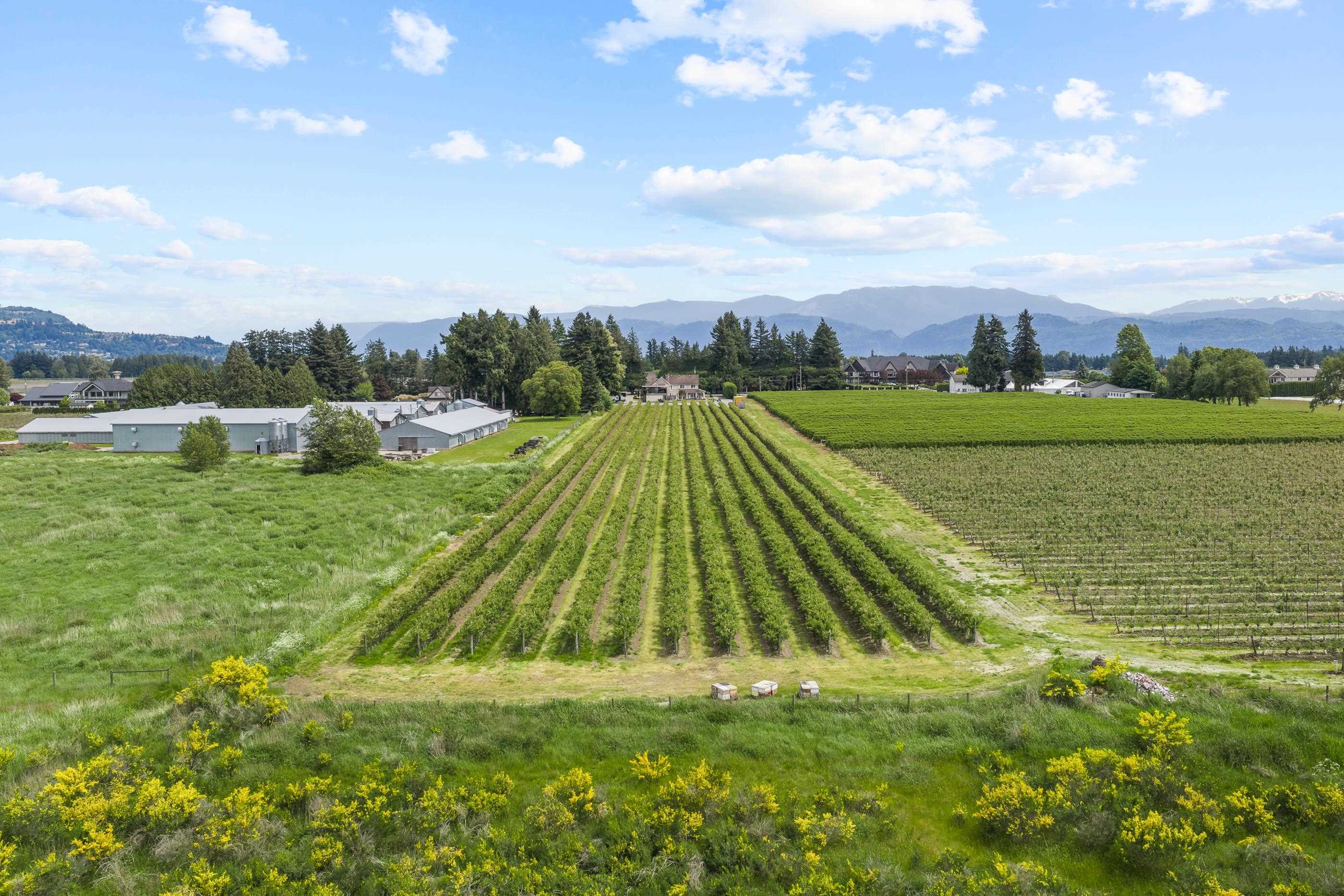 Additional image 5 of 1189 Gladwin Road, Abbotsford, BC, V2T 5Y4