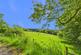 Additional image 16 of 0.91 Acres | 2,725 Sq. Ft. | Five Outbuildings | 10+ Car Parking