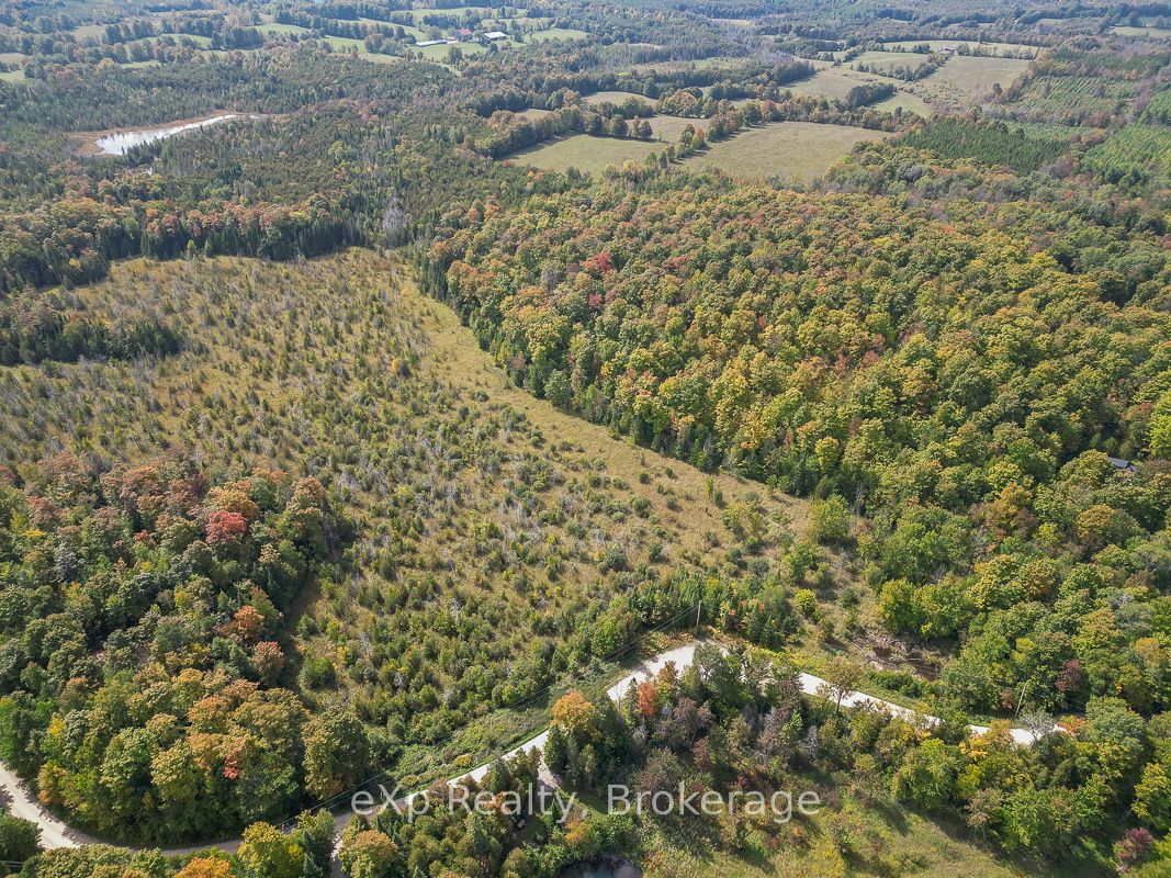 PT LT 15 Baseline Road, West Grey, ON, N0C 1H0 photo 5