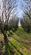 Additional image 33 of The Old St. Nicholas Manse, Holm, Orkney, Orkney Islands, KW17