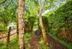 Additional image 31 of Mill Mead, Ringmer, Lewes, East Sussex, BN8