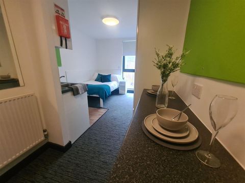 Pitt Street, Newcastle Upon Tyne NE4, Studio to rent