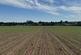 Cadney Lane, Bettisfield, Whitchurch. photo 2