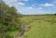 Additional image 5 of Lot 1 - Barnglieshead, Near Canonbie, Dumfries & Galloway  DG14