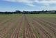 Cadney Lane, Bettisfield, Whitchurch. photo 5