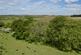 Additional image 4 of Lot 1 - Barnglieshead, Near Canonbie, Dumfries & Galloway  DG14