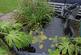 Additional image 34 of Pilling Lane, PREESALL, Poulton-le-Fylde, FY6