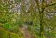 Additional image 38 of Oakbank, Tarbert Road, Ardrishaig, Argyll