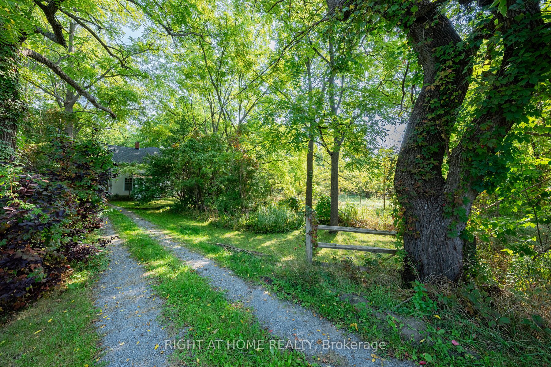 Additional image 3 of 315 Main Street N, Newmarket, ON, L3Y 9A9