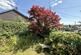 Additional image 20 of Church Lane, Llansantffraid, Powys, SY22