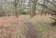 Additional image 18 of Richborough Place, Wollaton, Nottingham, NG8