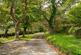 Additional image 2 of Lot1 - Hurdon Farmhouse, Cottages and Land, Launceston, Cornwall, PL15