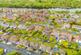 Additional image 31 of Thelwall New Road, Thelwall, WA4