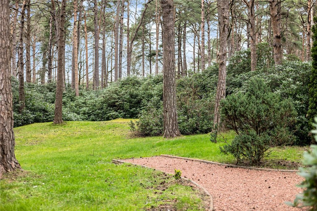 Additional image 31 of 7 bed detached house for saleAvon Avenue, Ringwood, Dorset BH24
