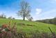 Additional image 25 of Blackwell, Buxton, Derbyshire, SK17