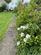 Additional image 22 of Mount Grace Road, Potters Bar, EN6