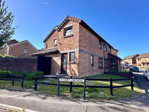 Heol Cadnawes, Morriston SA6