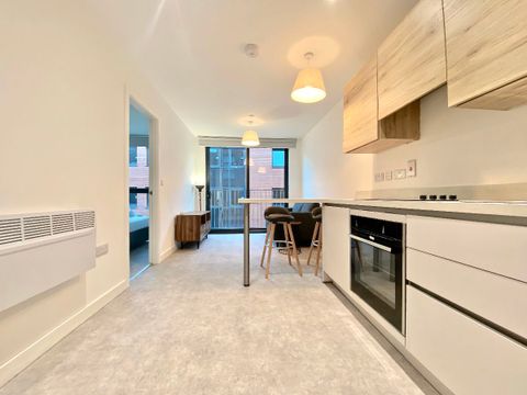 213 Birtin Works, Henry Street, Sheffield S3
